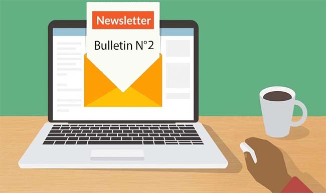 BULLETIN1: FOLLOW UP OF THE APPLICATION OF THE LAW EMPOWERING THE HEAD OF GOVERNMENT TO ISSUE DECREE-LAWS IN ORDER TO DEAL WITH THE REPERCUSSIONS OF THE SPREAD OF THE CORONAVIRUS (COVID-19)