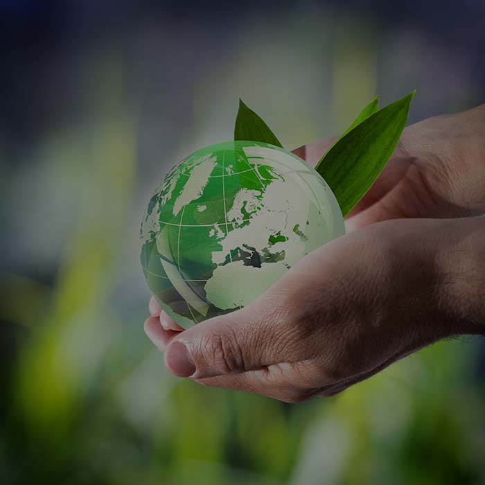  SUSTAINABLE DEVELOPMENT